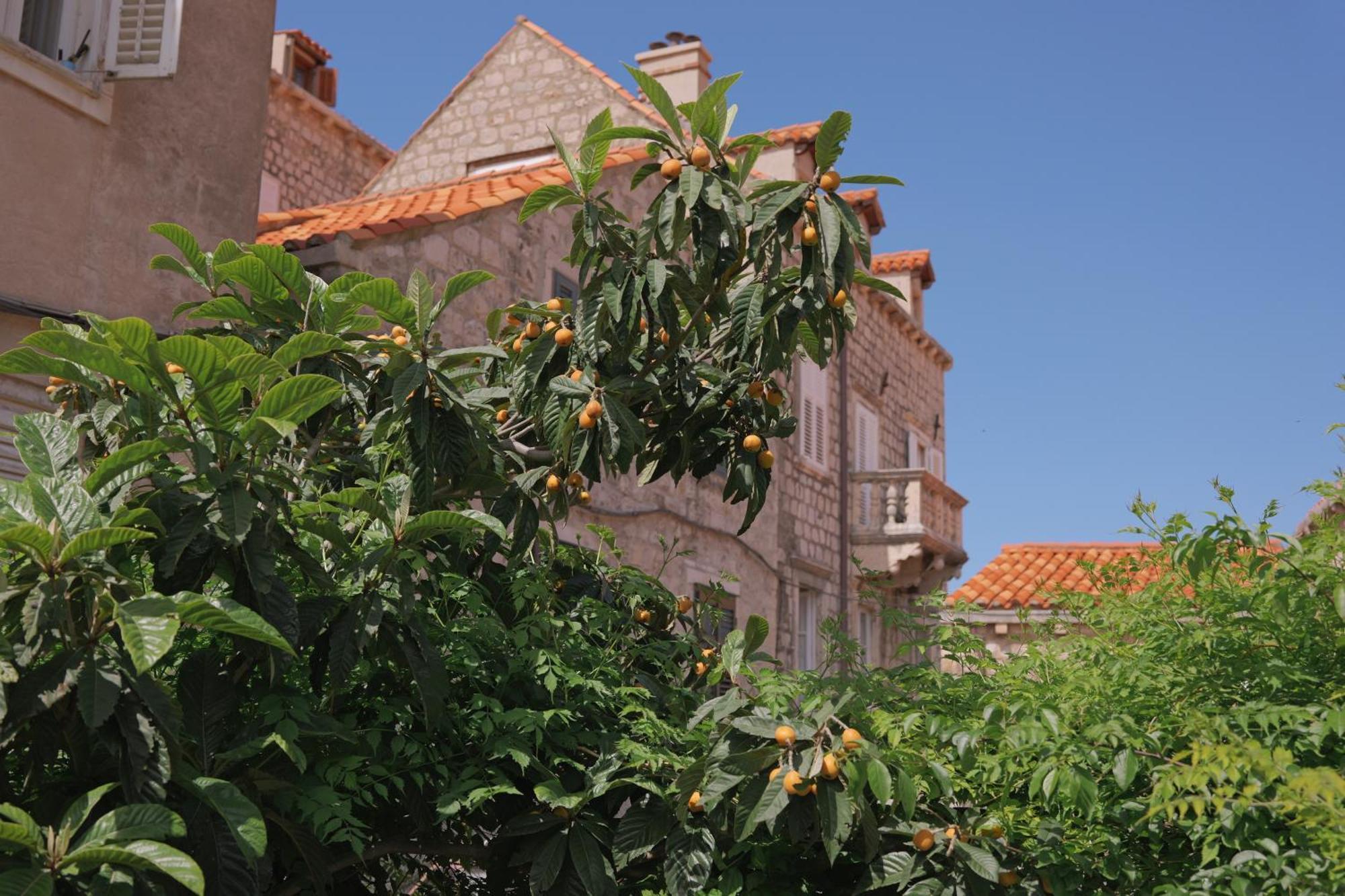 Old Town Green Oasis House Dubrovnik Luaran gambar