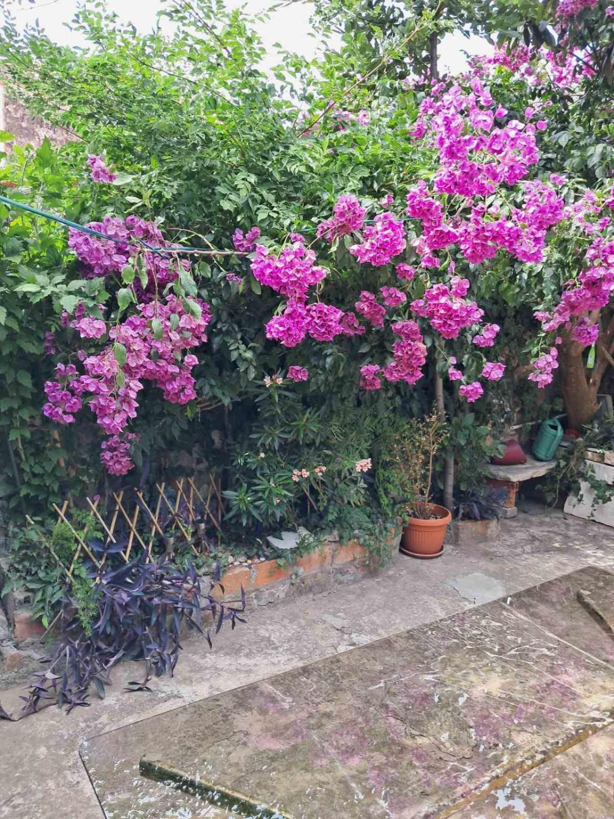 Old Town Green Oasis House Dubrovnik Luaran gambar