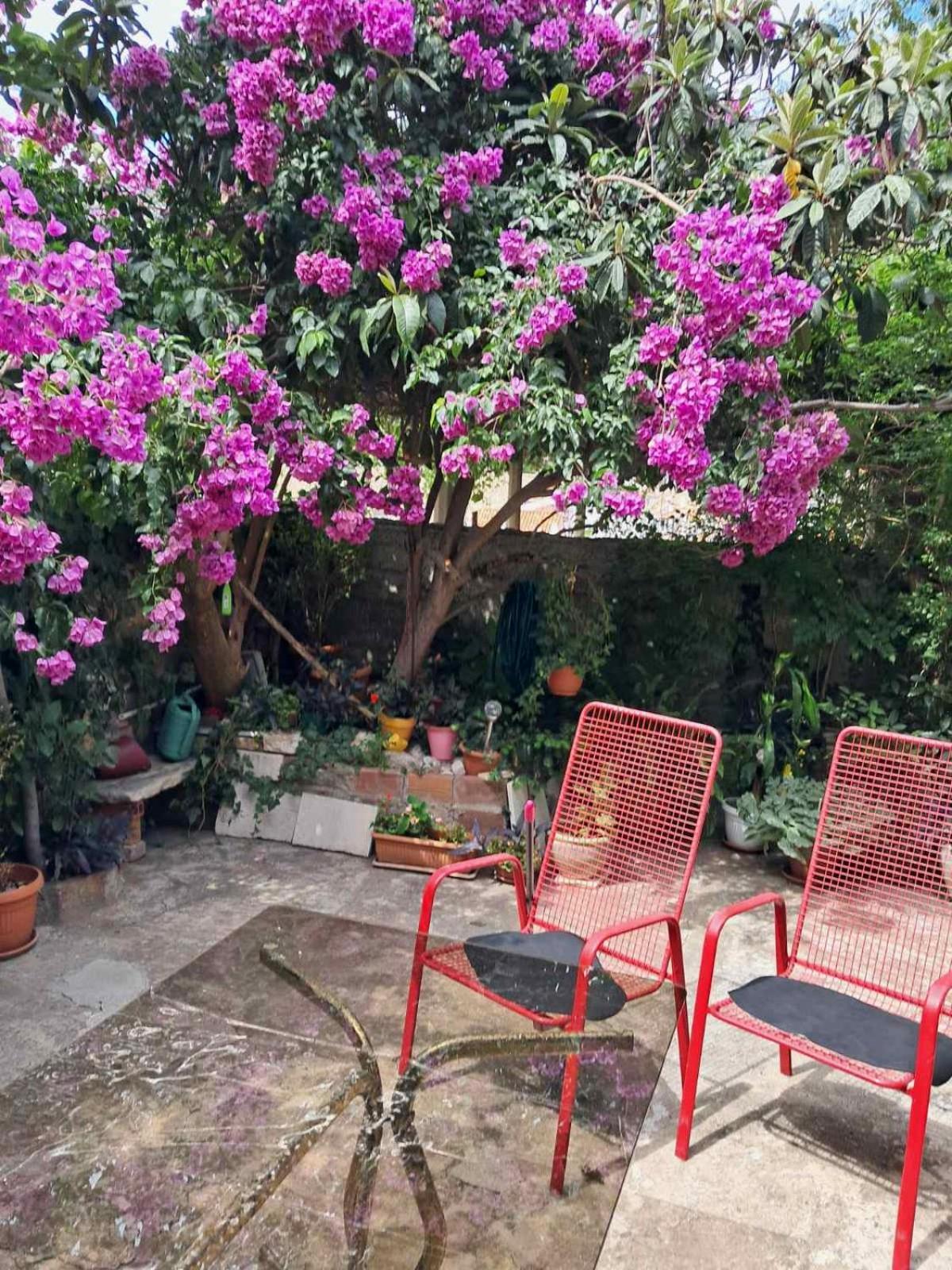 Old Town Green Oasis House Dubrovnik Luaran gambar